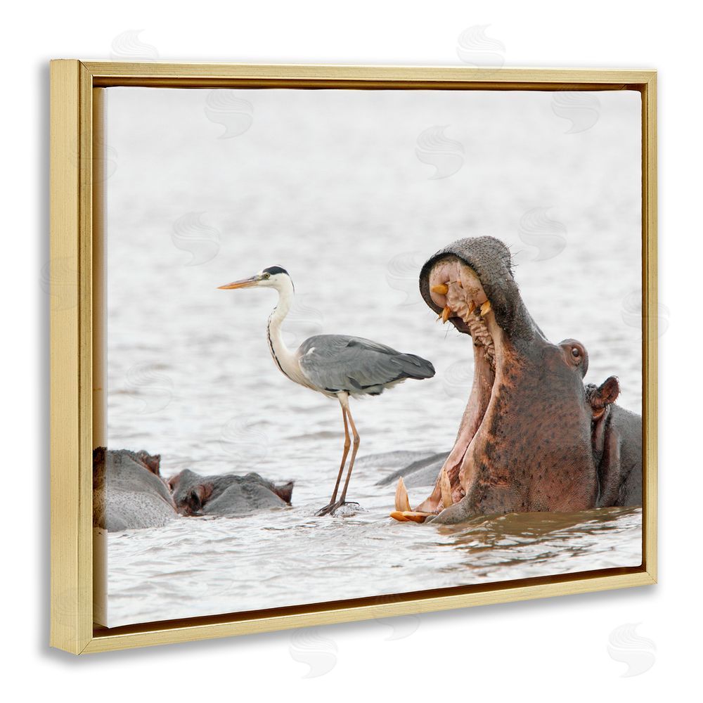 Jean Jacques Alcalay Hippo & Heron Photography Gold Floating Frame Canvas Wall Art Print