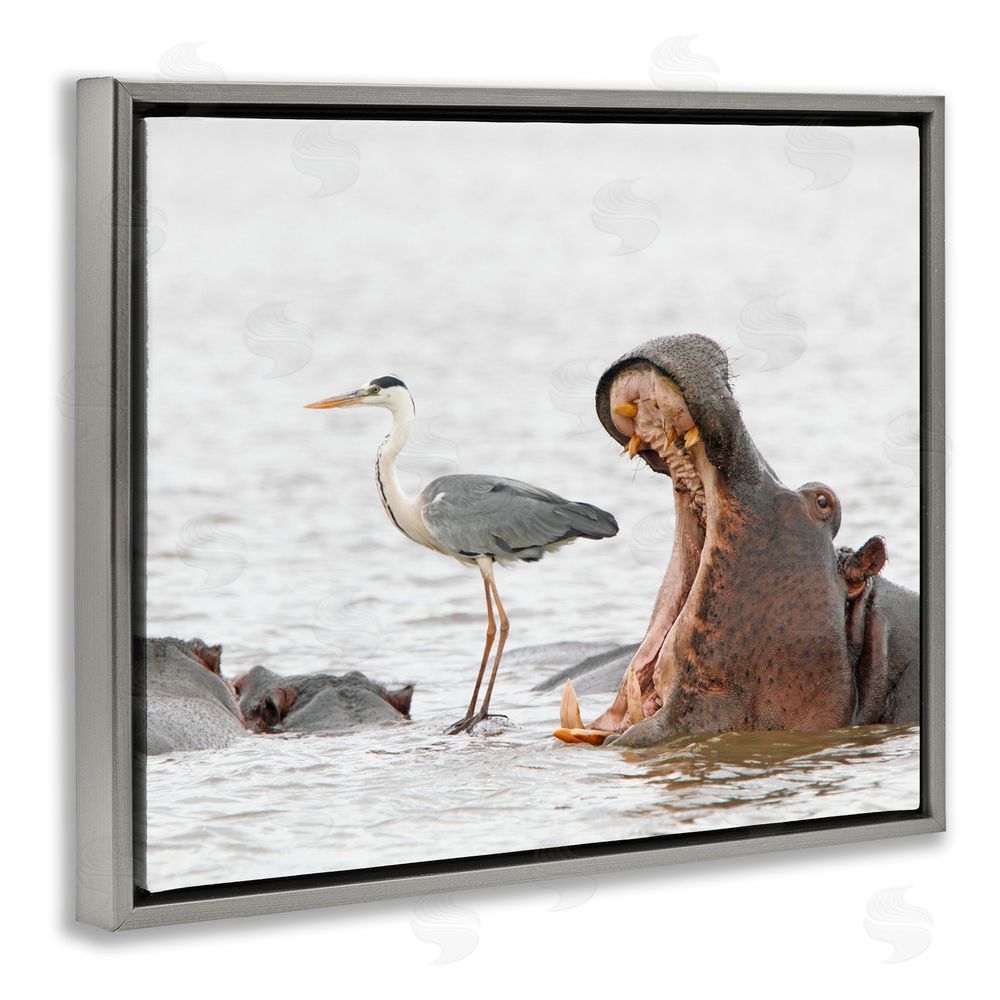 Jean Jacques Alcalay Hippo & Heron Photography Grey Floating Frame Canvas Wall Art Print