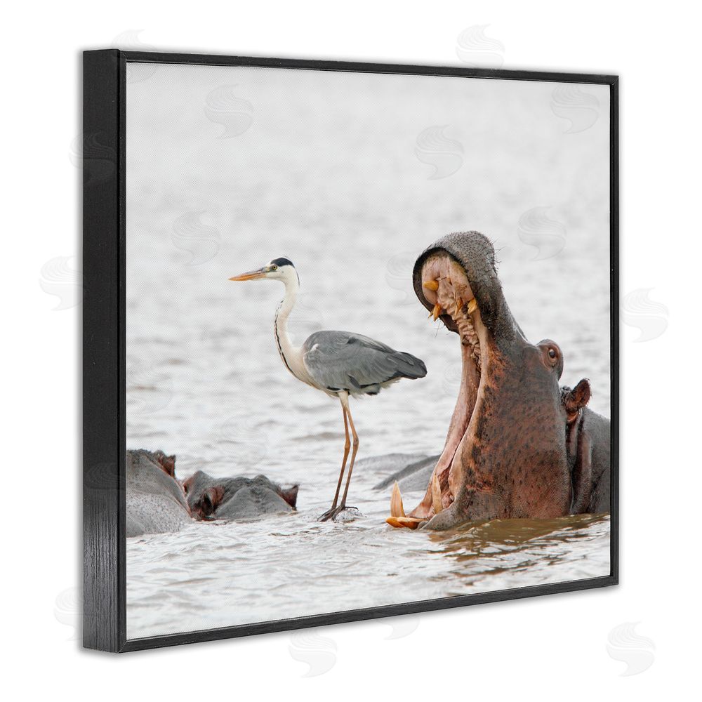Jean Jacques Alcalay Hippo & Heron Photography Black Framed Giclee Wall Art Print