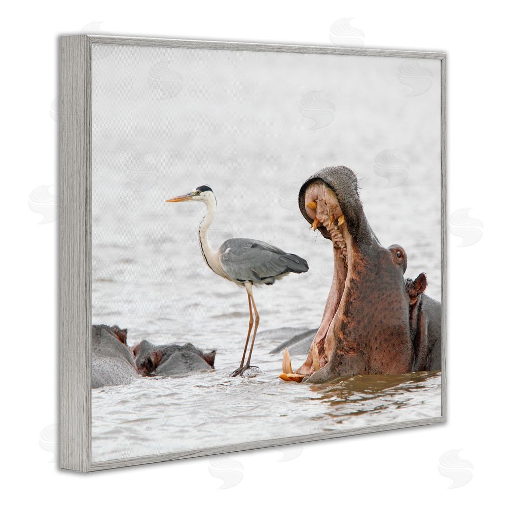 Jean Jacques Alcalay Hippo & Heron Photography Gray Framed Giclee Wall Art Print