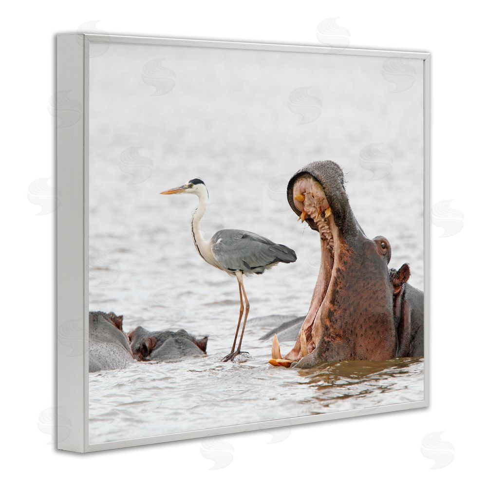 Jean Jacques Alcalay Hippo & Heron Photography White Framed Giclee Wall Art Print