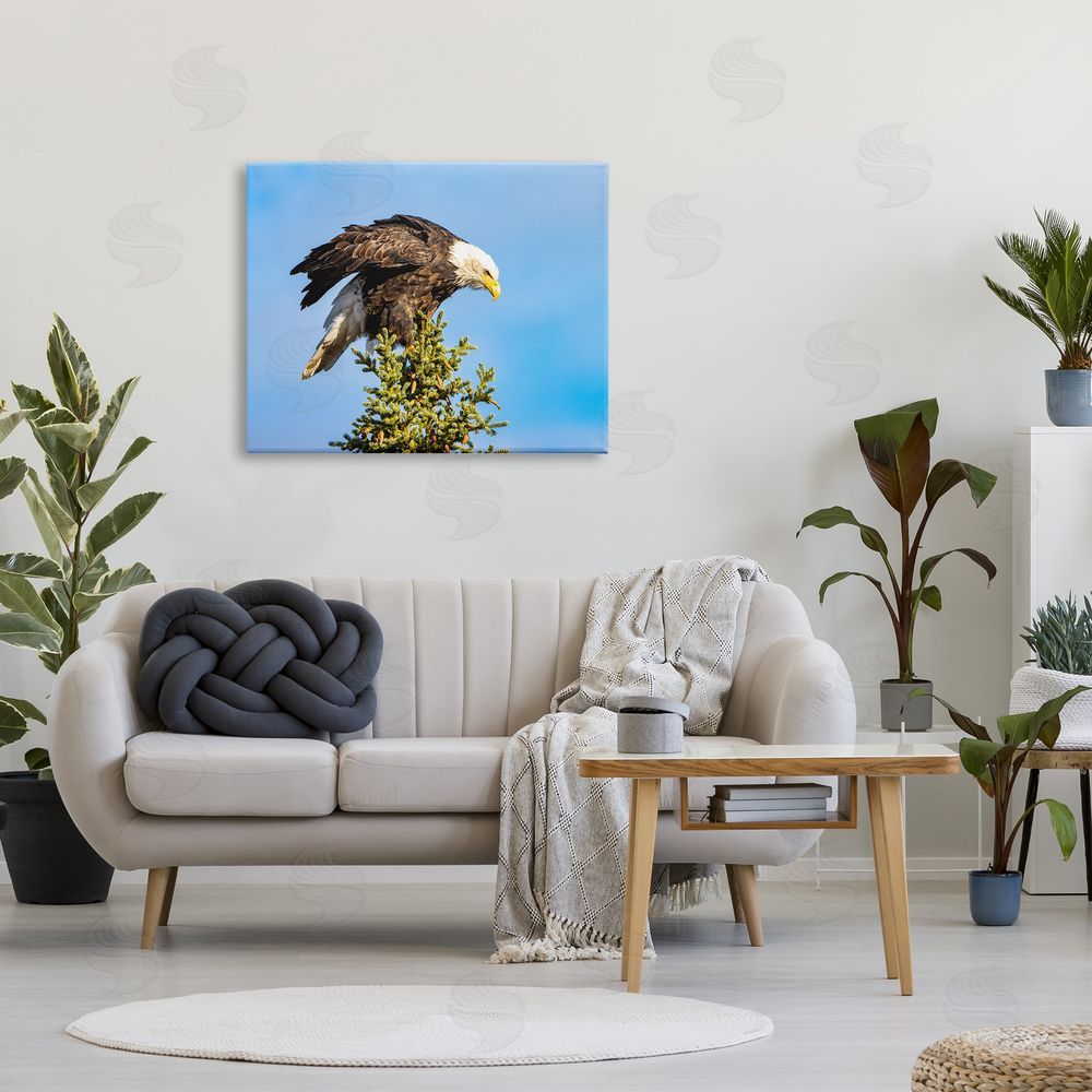 Daniel Sproul Perched Eagle Photography Canvas Wall Art Print in Room