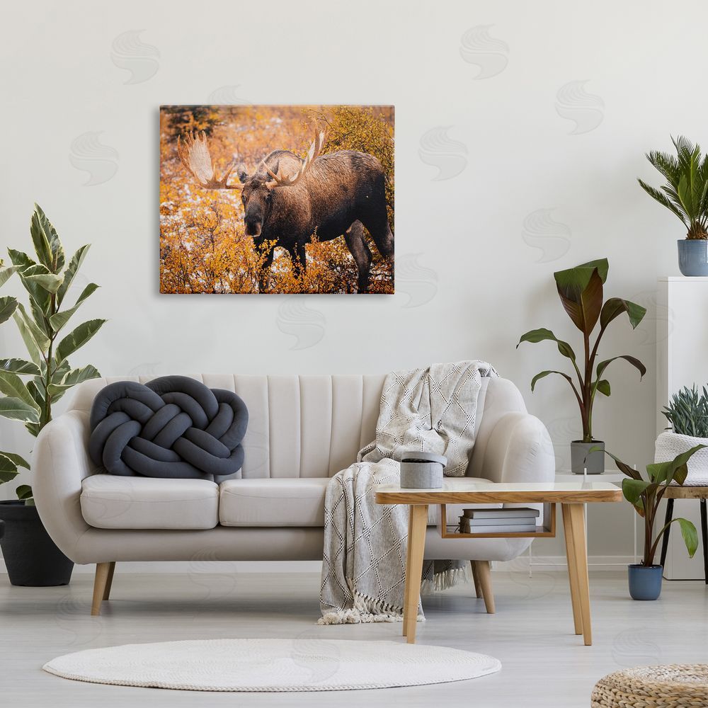 Daniel Sproul Moose in Autumn Foliage Canvas Wall Art Print in Room