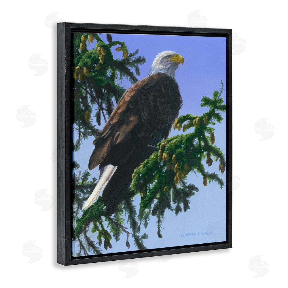 Derek Wicks Eagle on Fir Branch Black Floating Frame Canvas Wall Art Print