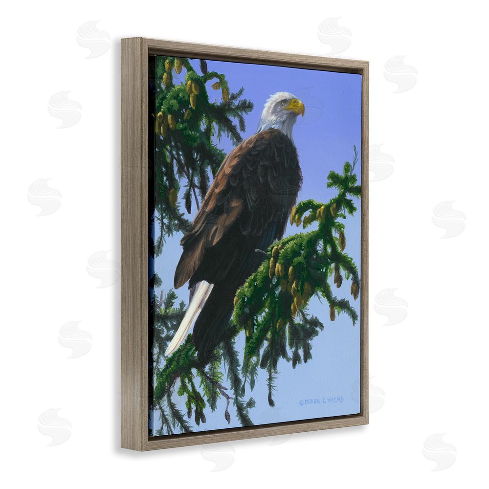 Derek Wicks Eagle on Fir Branch Brown Floating Frame Canvas Wall Art Print