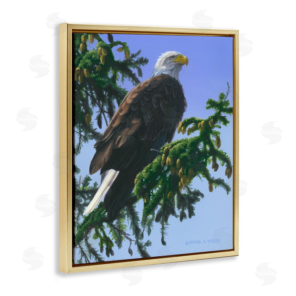 Derek Wicks Eagle on Fir Branch Gold Floating Frame Canvas Wall Art Print