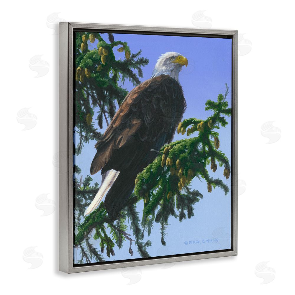 Derek Wicks Eagle on Fir Branch Grey Floating Frame Canvas Wall Art Print