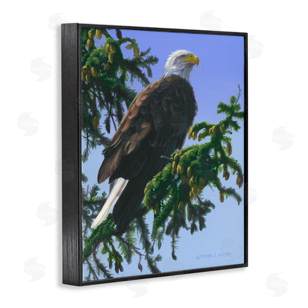 Derek Wicks Eagle on Fir Branch Black Framed Giclee Wall Art Print