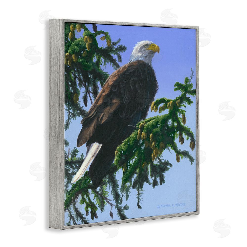 Derek Wicks Eagle on Fir Branch Gray Framed Giclee Wall Art Print