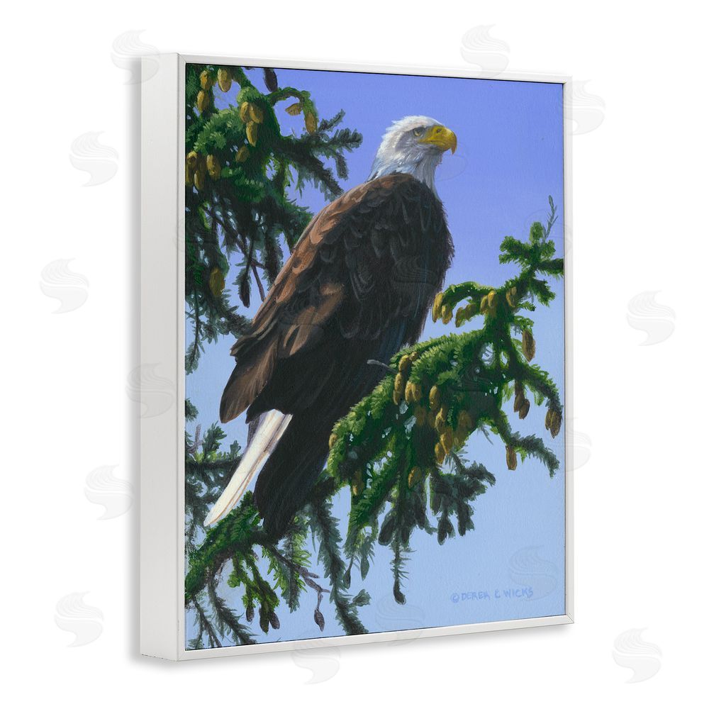 Derek Wicks Eagle on Fir Branch White Framed Giclee Wall Art Print
