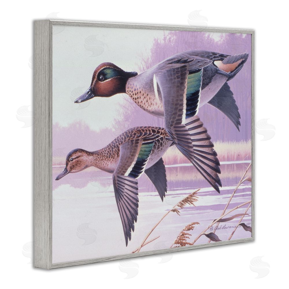 Rod Lawrence Flying Mallards over Lake Gray Framed Giclee Wall Art Print