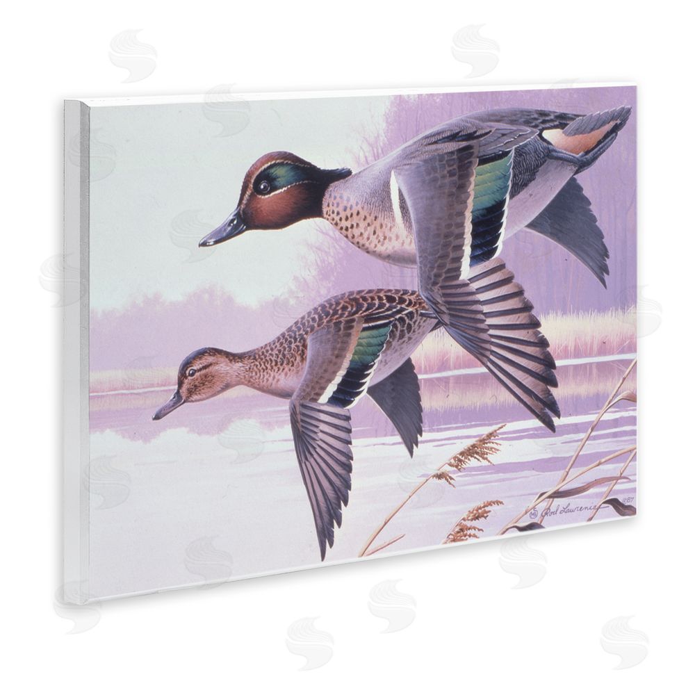 Rod Lawrence Flying Mallards over Lake Wall Plaque Art Print
