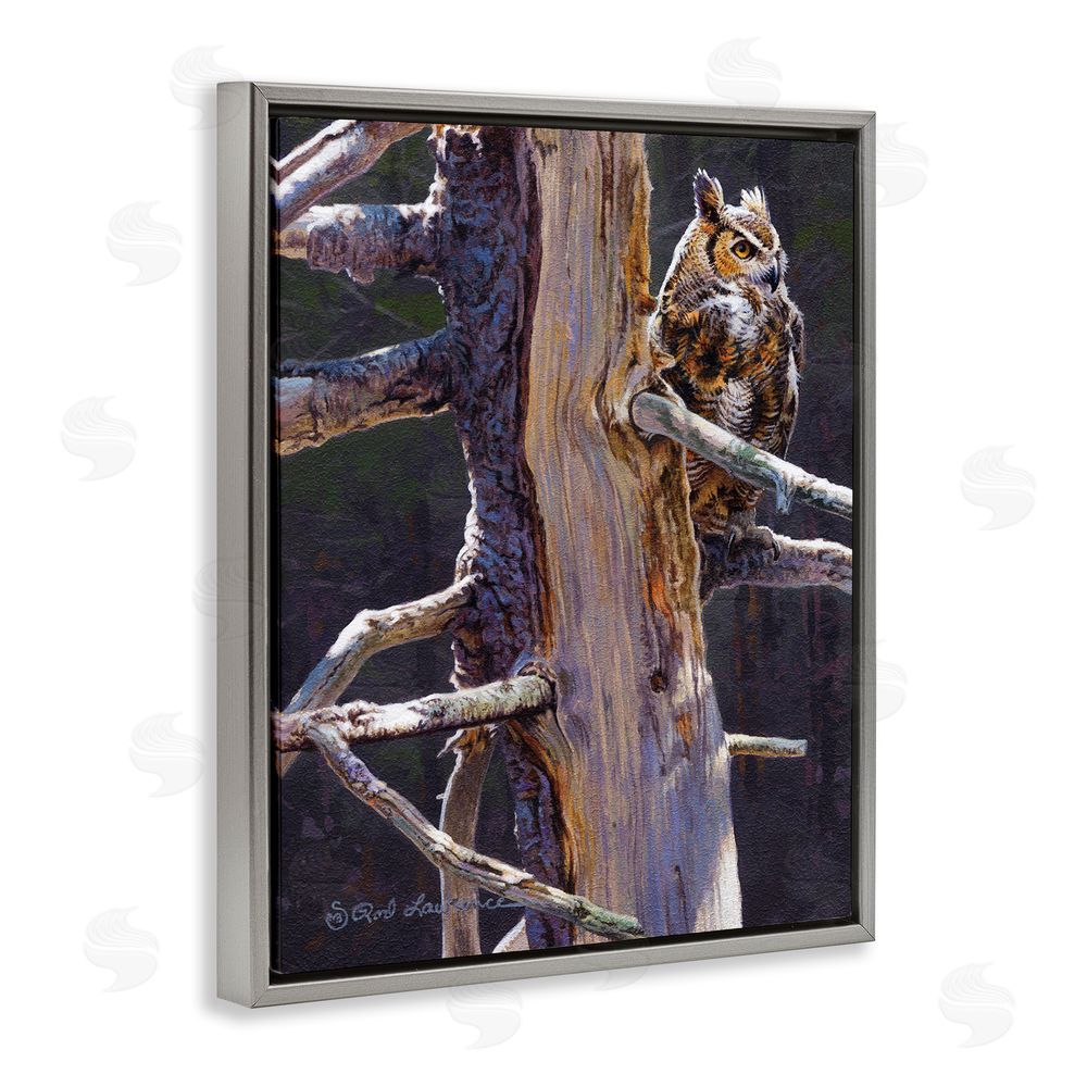 Rod Lawrence Owl in Rustic Tree Grey Floating Frame Canvas Wall Art Print
