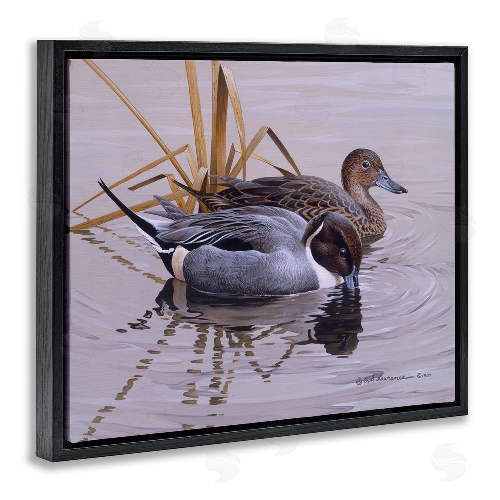 Rod Lawrence Ducks with Pond Ripples Black Floating Frame Canvas Wall Art Print