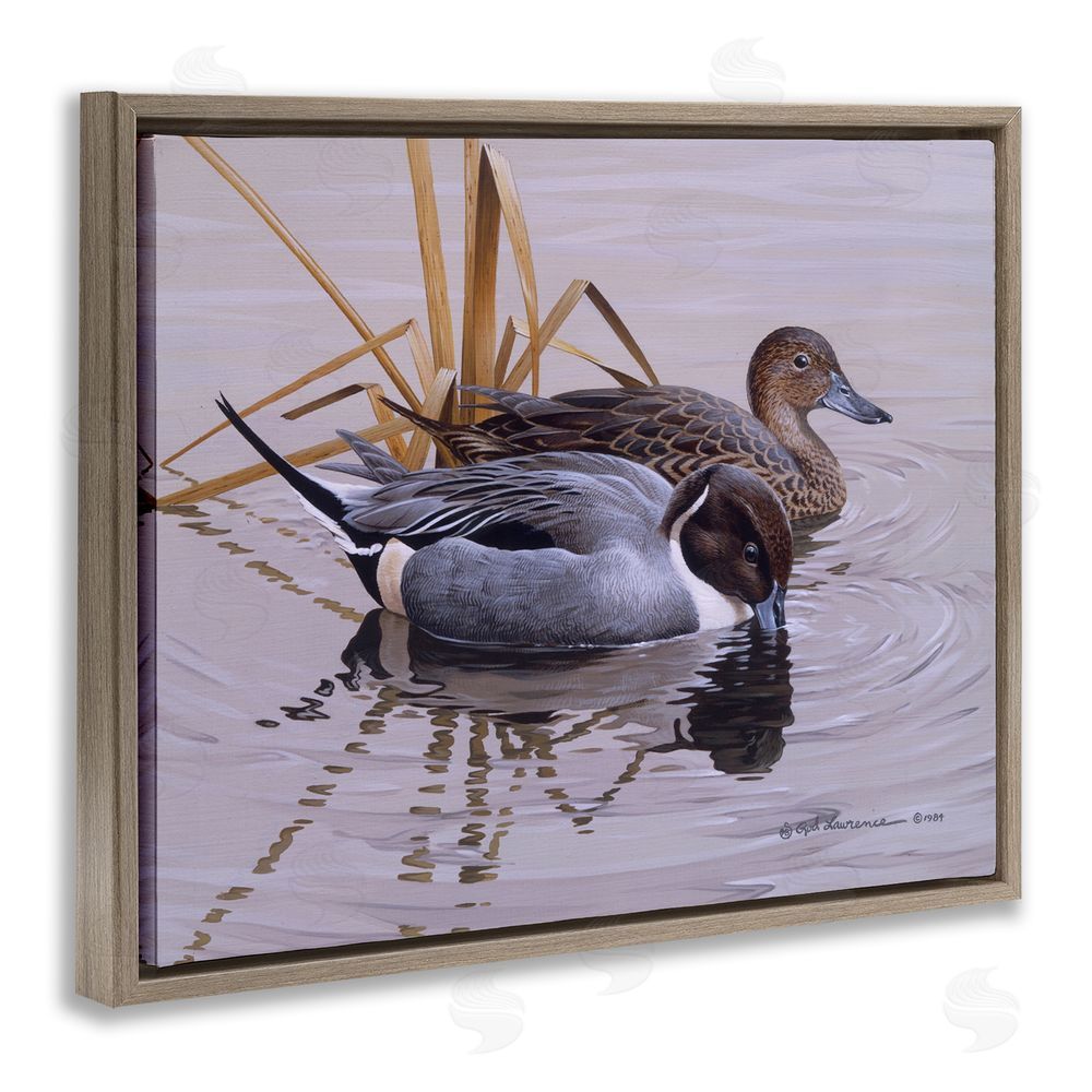 Rod Lawrence Ducks with Pond Ripples Brown Floating Frame Canvas Wall Art Print