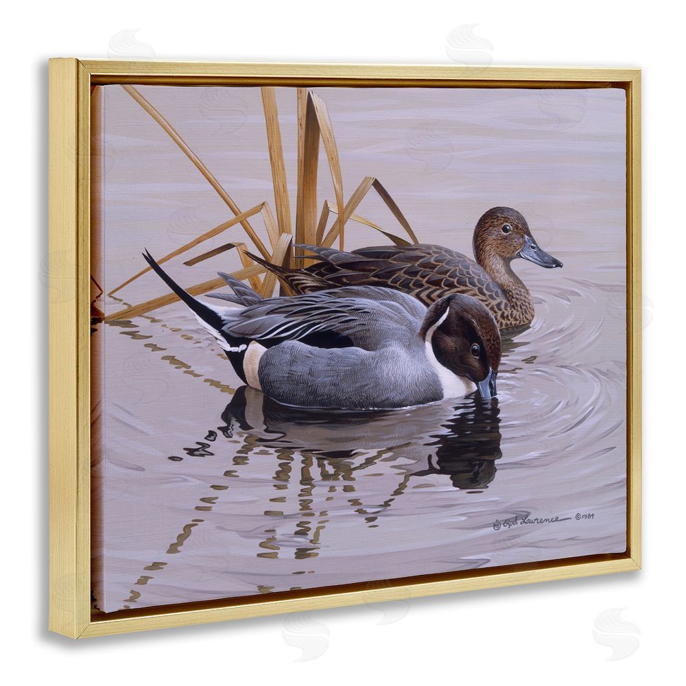 Rod Lawrence Ducks with Pond Ripples Gold Floating Frame Canvas Wall Art Print