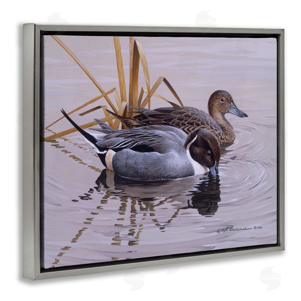 Rod Lawrence Ducks with Pond Ripples Grey Floating Frame Canvas Wall Art Print