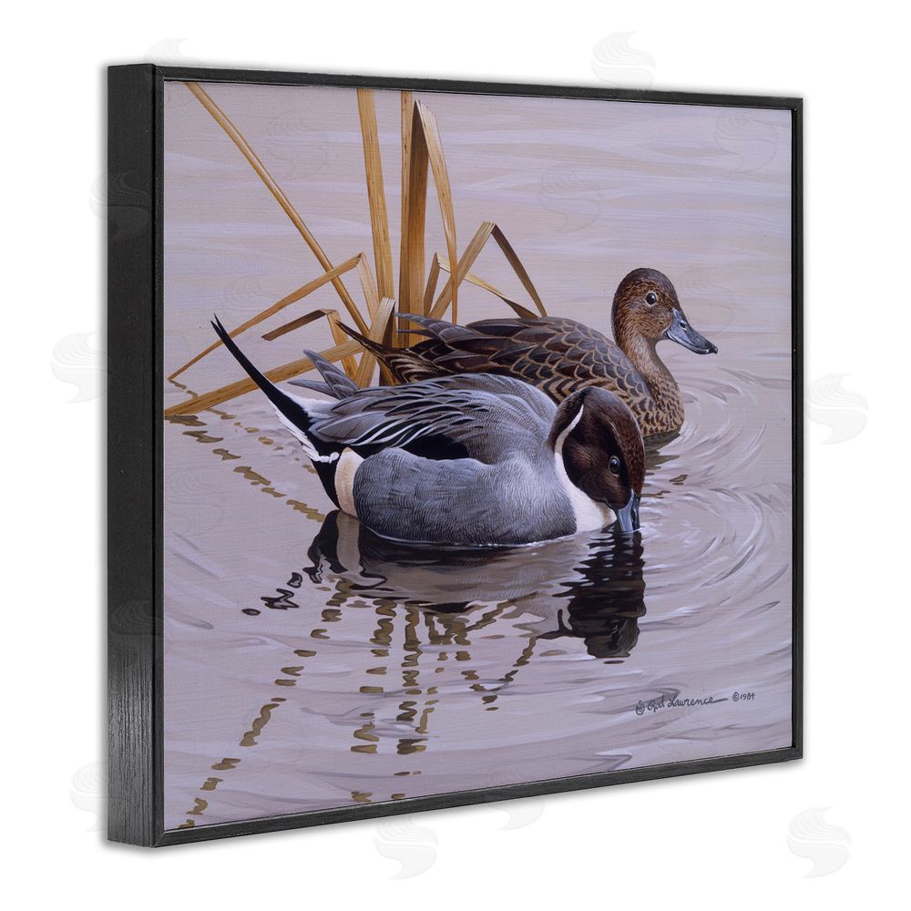 Rod Lawrence Ducks with Pond Ripples Black Framed Giclee Wall Art Print