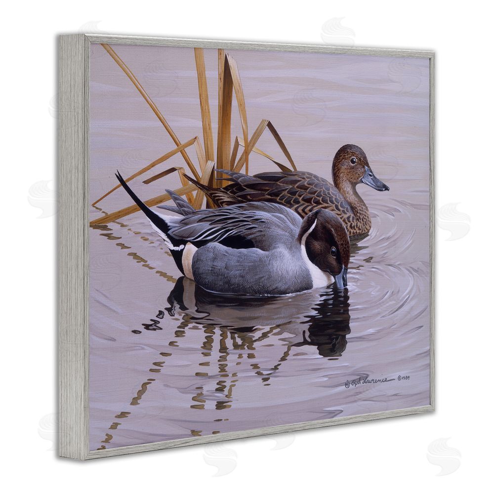 Rod Lawrence Ducks with Pond Ripples Gray Framed Giclee Wall Art Print