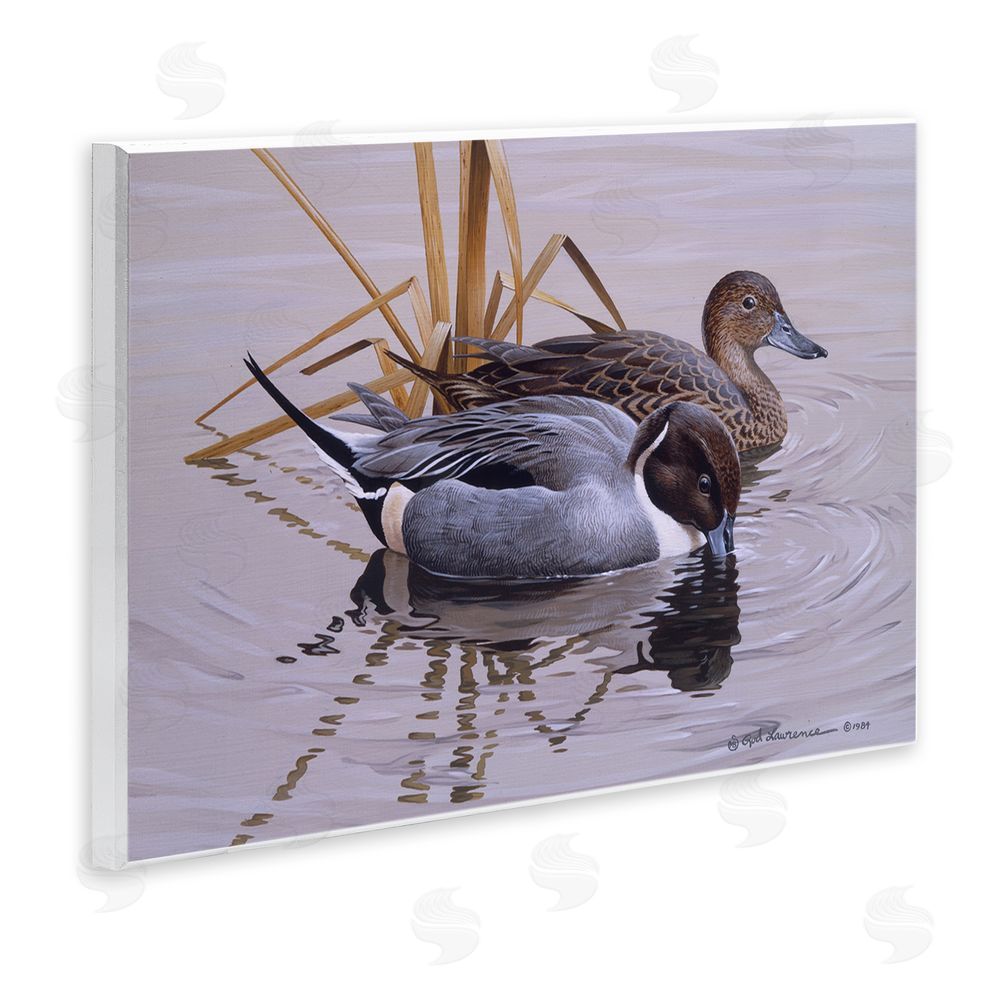 Rod Lawrence Ducks with Pond Ripples Wall Plaque Art Print