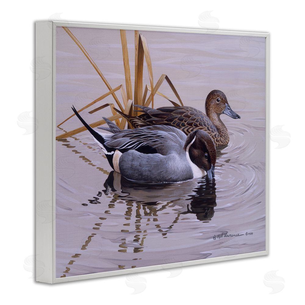 Rod Lawrence Ducks with Pond Ripples White Framed Giclee Wall Art Print