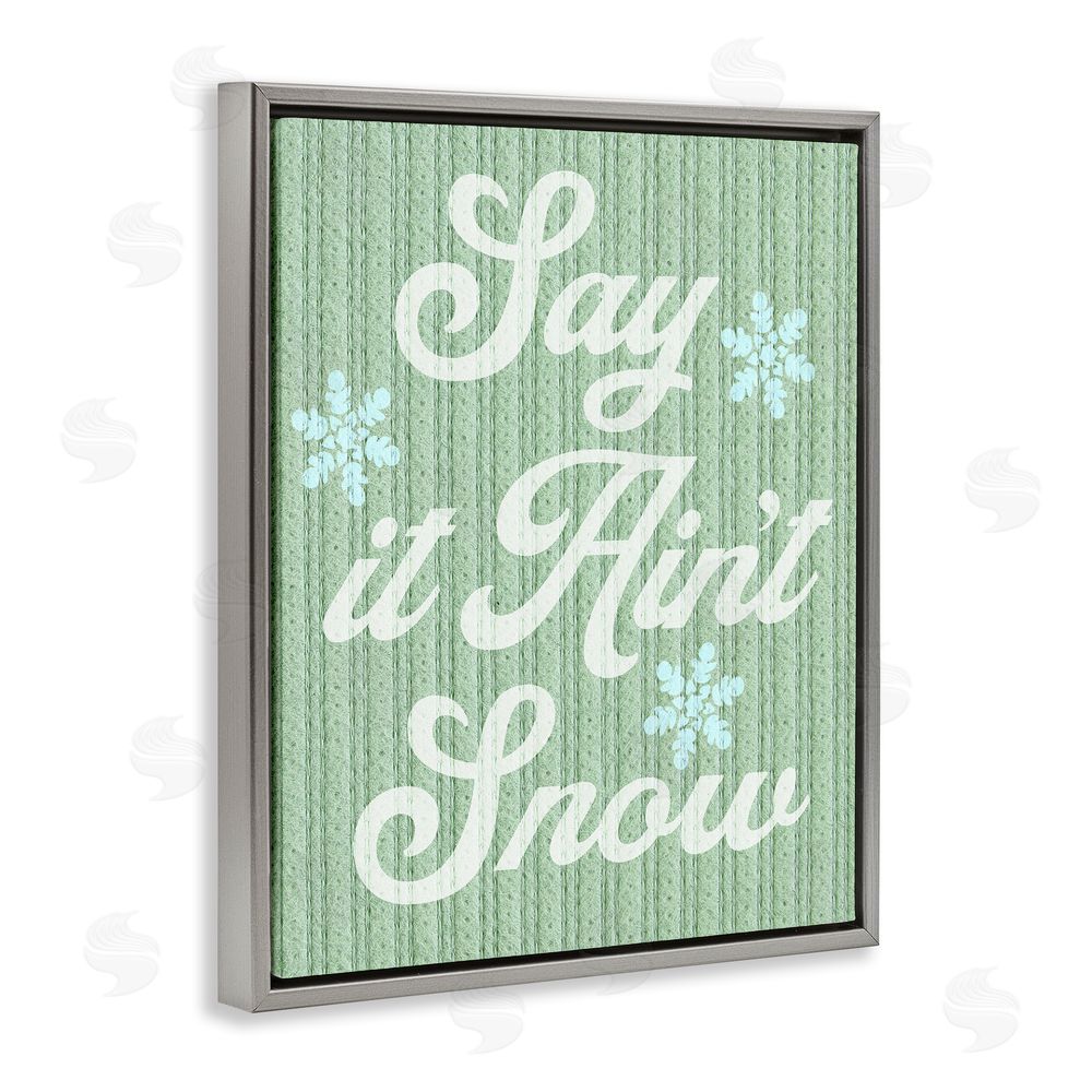 Stupell Studio Green Say It Ain't Snow Grey Floating Frame Canvas Wall Art Print
