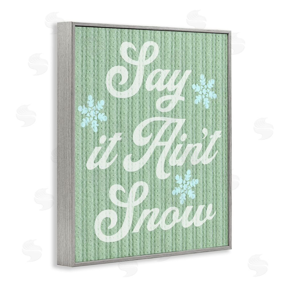 Stupell Studio Green Say It Ain't Snow Gray Framed Giclee Wall Art Print