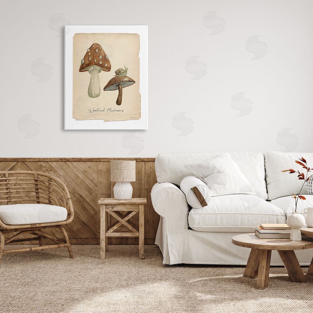 Carol Robinson Woodland Mushrooms & Snail Canvas Wall Art Print in Room