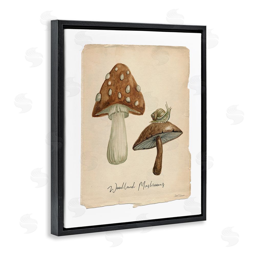 Carol Robinson Woodland Mushrooms & Snail Black Floating Frame Canvas Wall Art Print