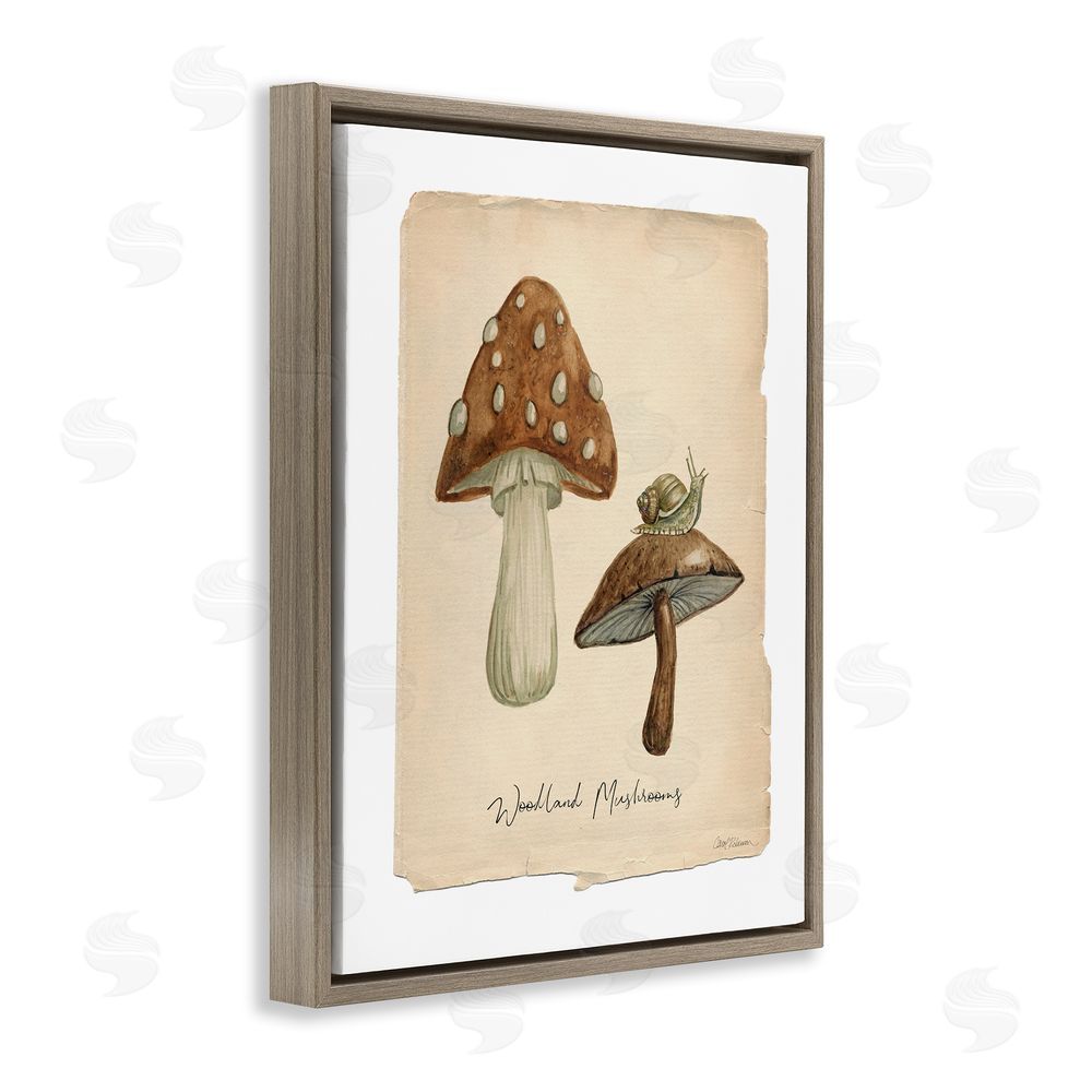 Carol Robinson Woodland Mushrooms & Snail Brown Floating Frame Canvas Wall Art Print