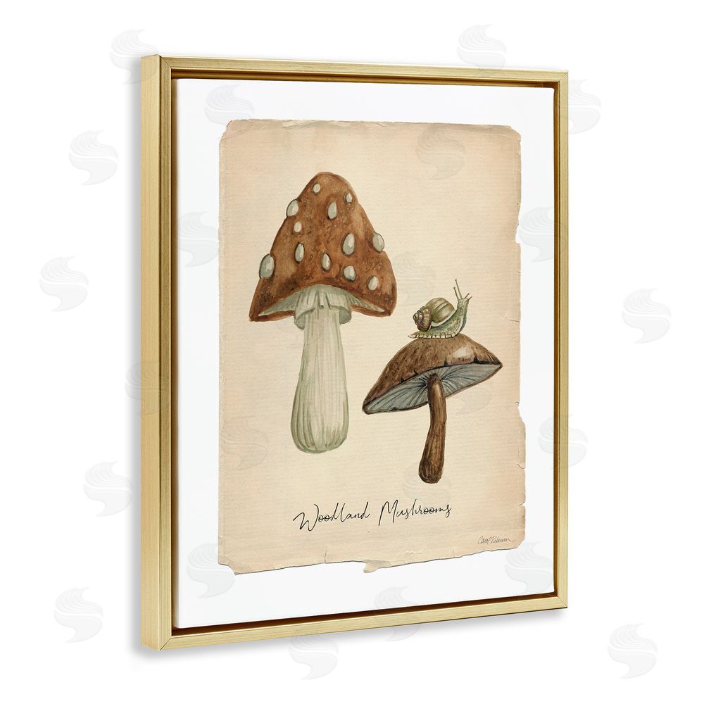 Carol Robinson Woodland Mushrooms & Snail Gold Floating Frame Canvas Wall Art Print