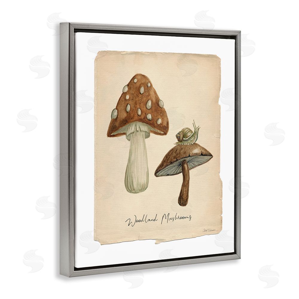 Carol Robinson Woodland Mushrooms & Snail Grey Floating Frame Canvas Wall Art Print