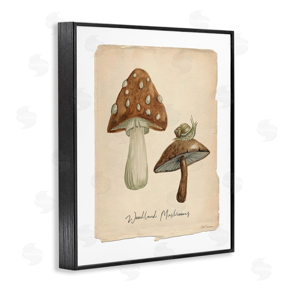 Carol Robinson Woodland Mushrooms & Snail Black Framed Giclee Wall Art Print
