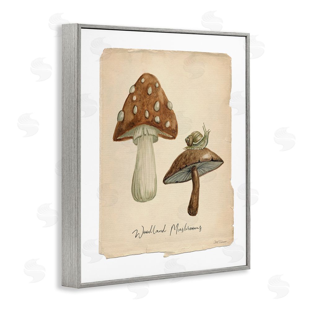 Carol Robinson Woodland Mushrooms & Snail Gray Framed Giclee Wall Art Print