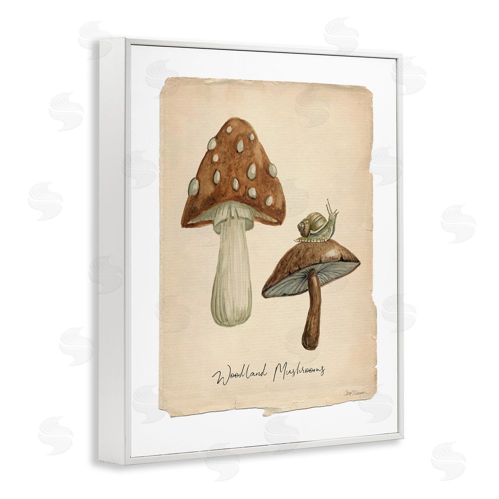 Carol Robinson Woodland Mushrooms & Snail White Framed Giclee Wall Art Print