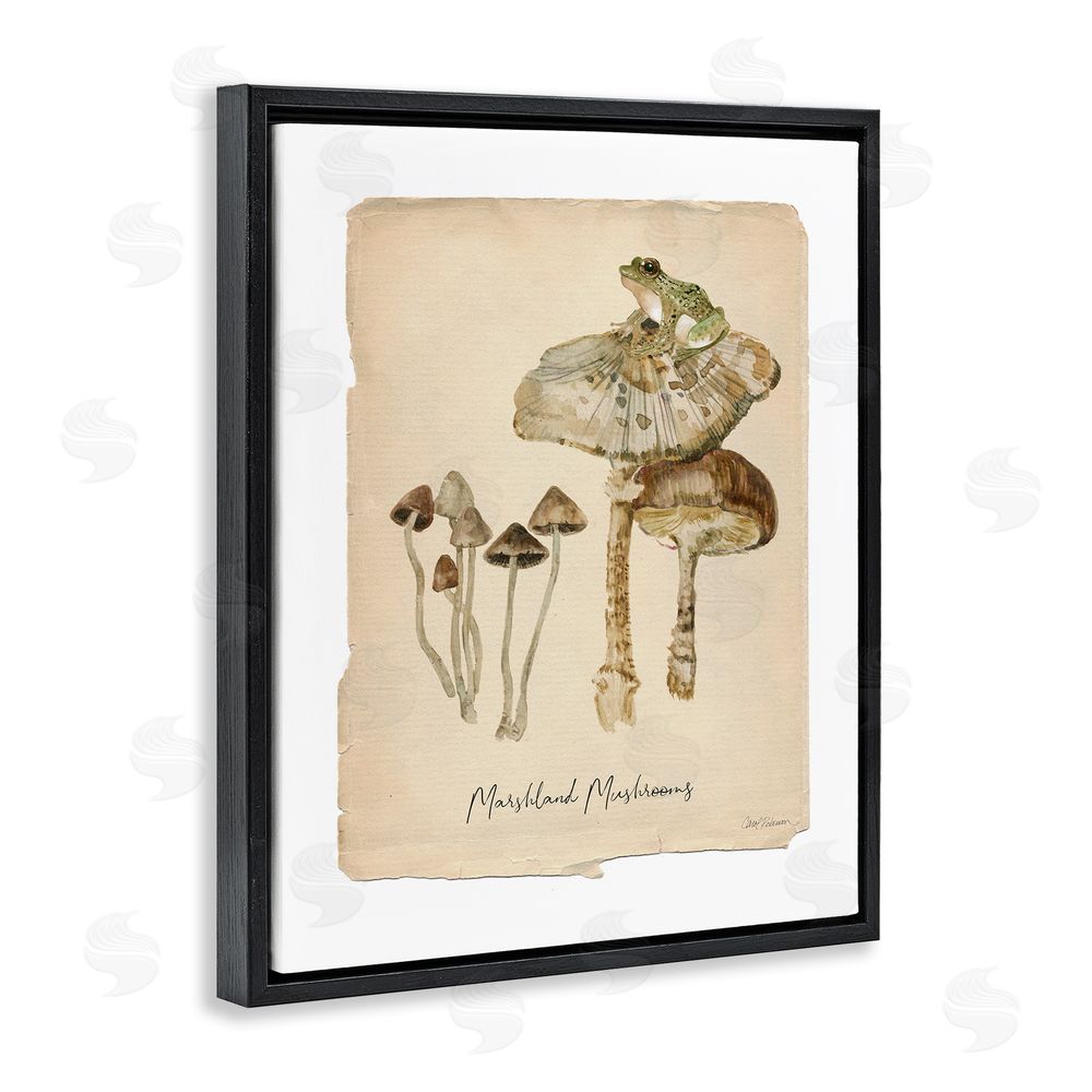 Carol Robinson Marshland Mushrooms & Frog Black Floating Frame Canvas Wall Art Print