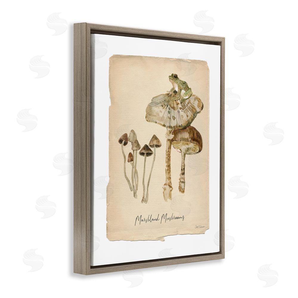 Carol Robinson Marshland Mushrooms & Frog Brown Floating Frame Canvas Wall Art Print