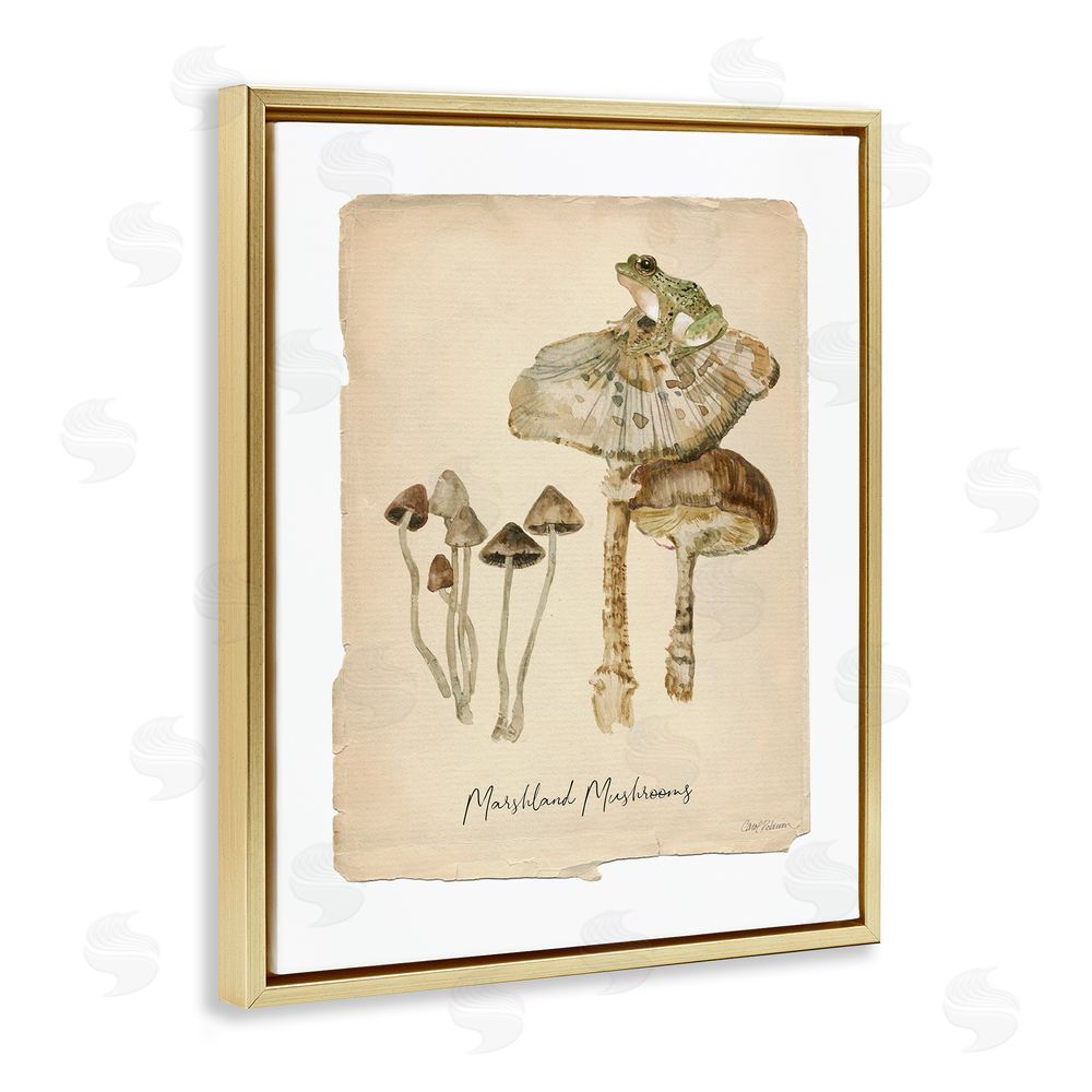 Carol Robinson Marshland Mushrooms & Frog Gold Floating Frame Canvas Wall Art Print