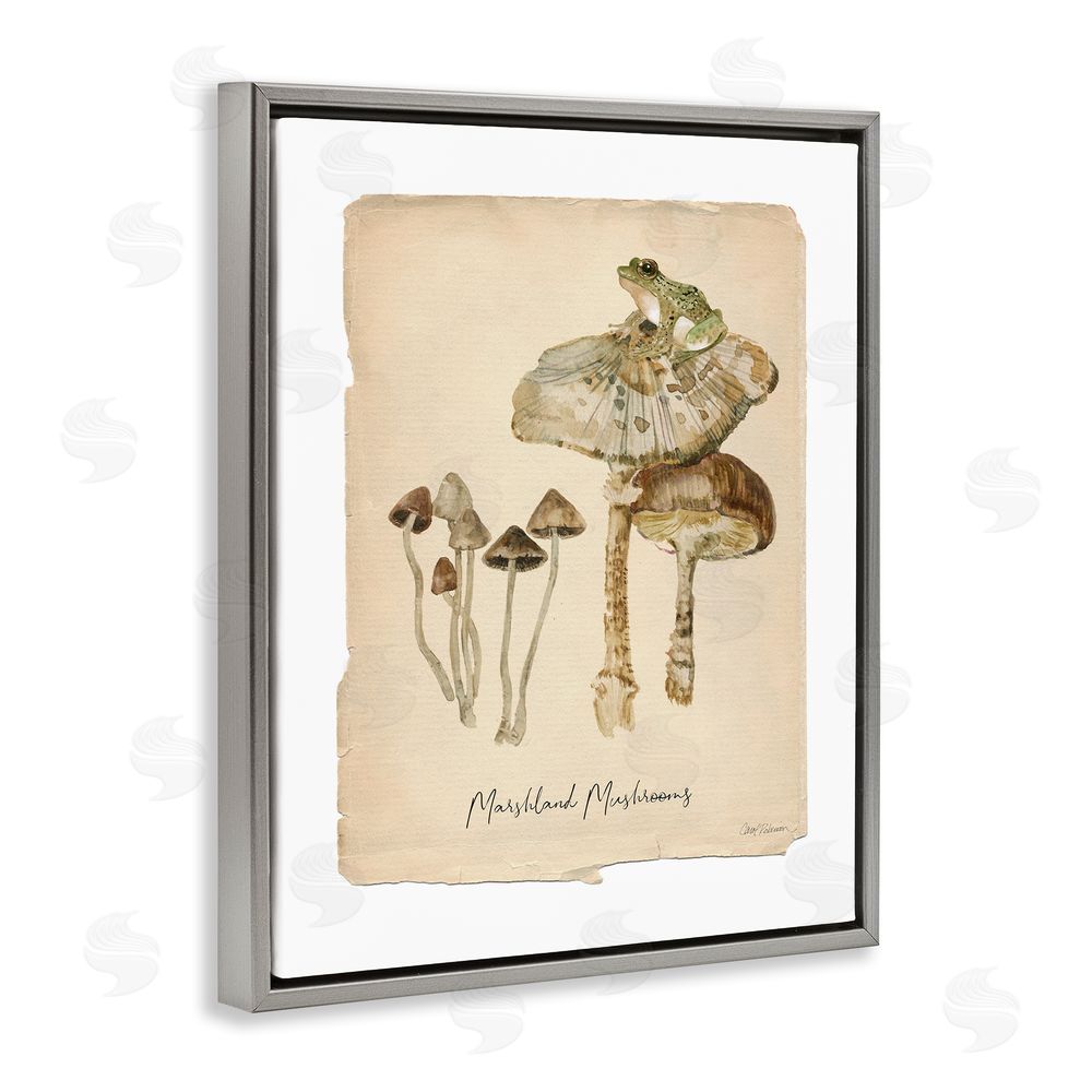 Carol Robinson Marshland Mushrooms & Frog Grey Floating Frame Canvas Wall Art Print
