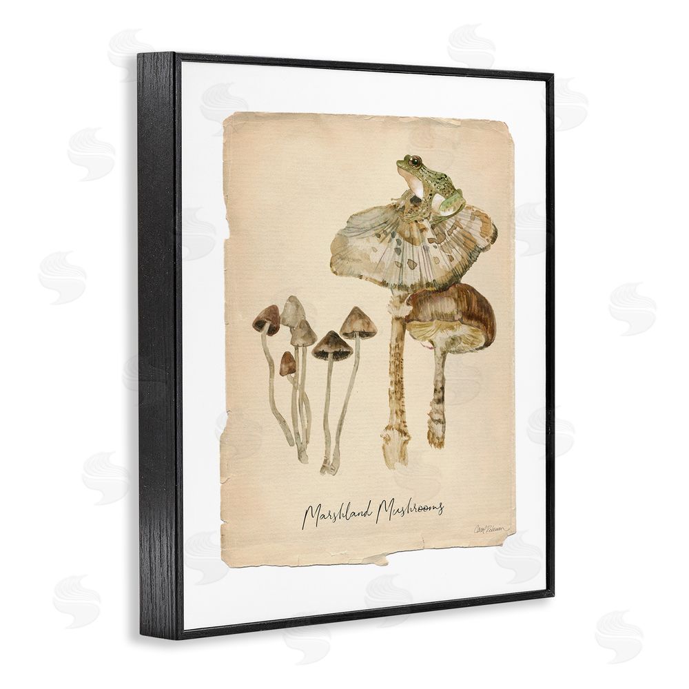 Carol Robinson Marshland Mushrooms & Frog Black Framed Giclee Wall Art Print
