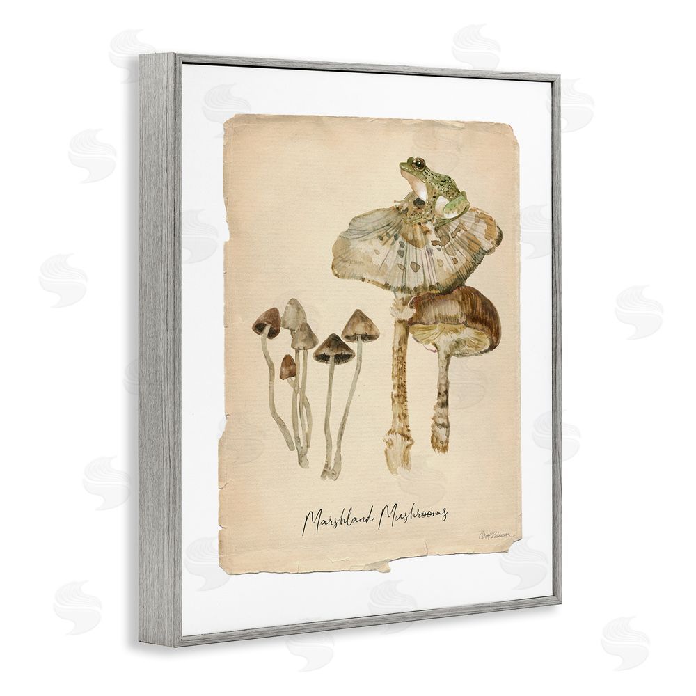 Carol Robinson Marshland Mushrooms & Frog Gray Framed Giclee Wall Art Print