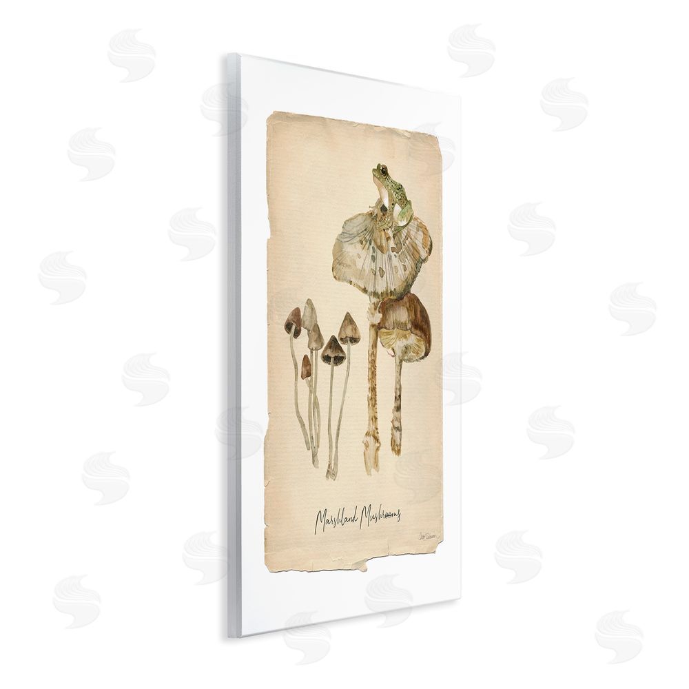 Carol Robinson Marshland Mushrooms & Frog Wall Plaque Art Print