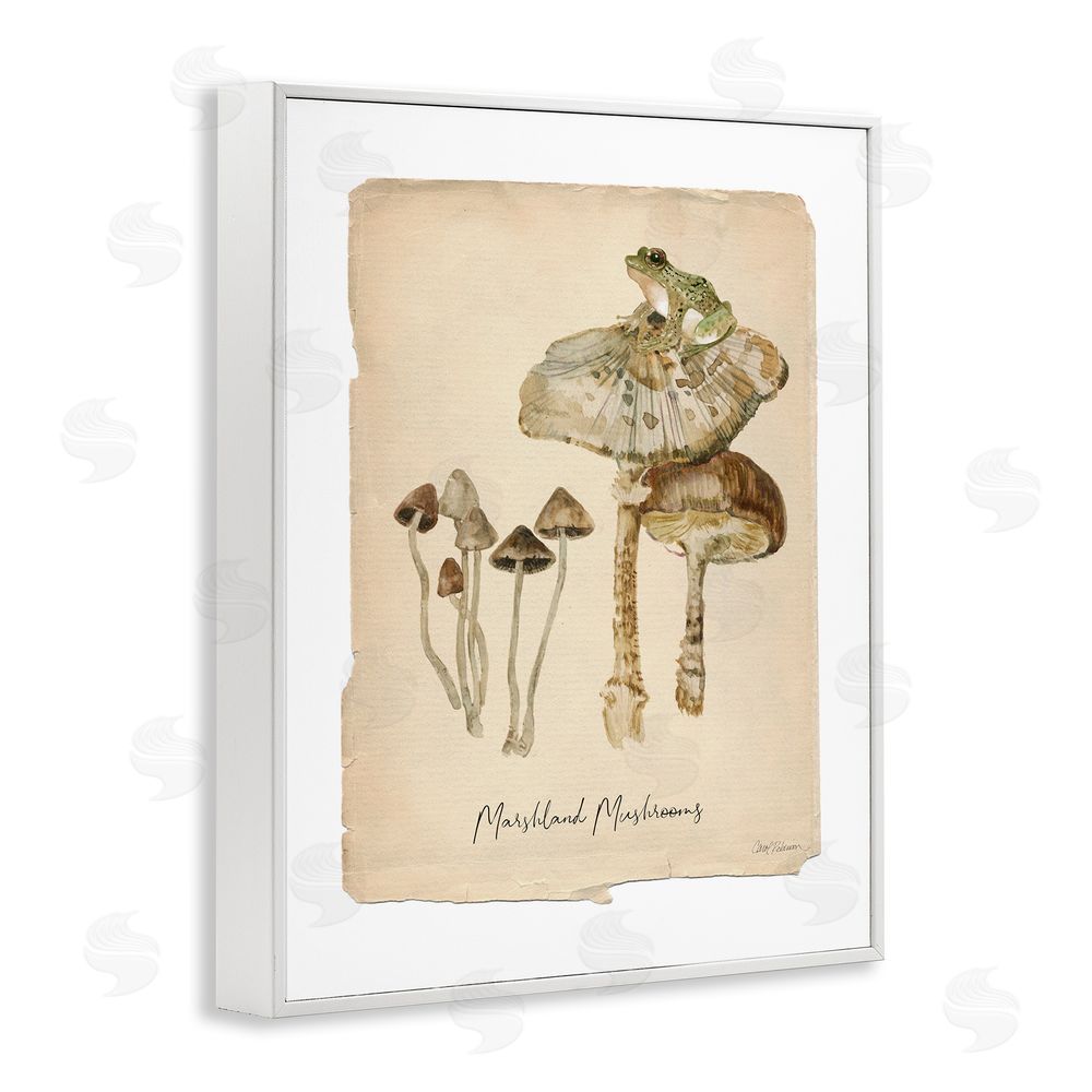 Carol Robinson Marshland Mushrooms & Frog White Framed Giclee Wall Art Print