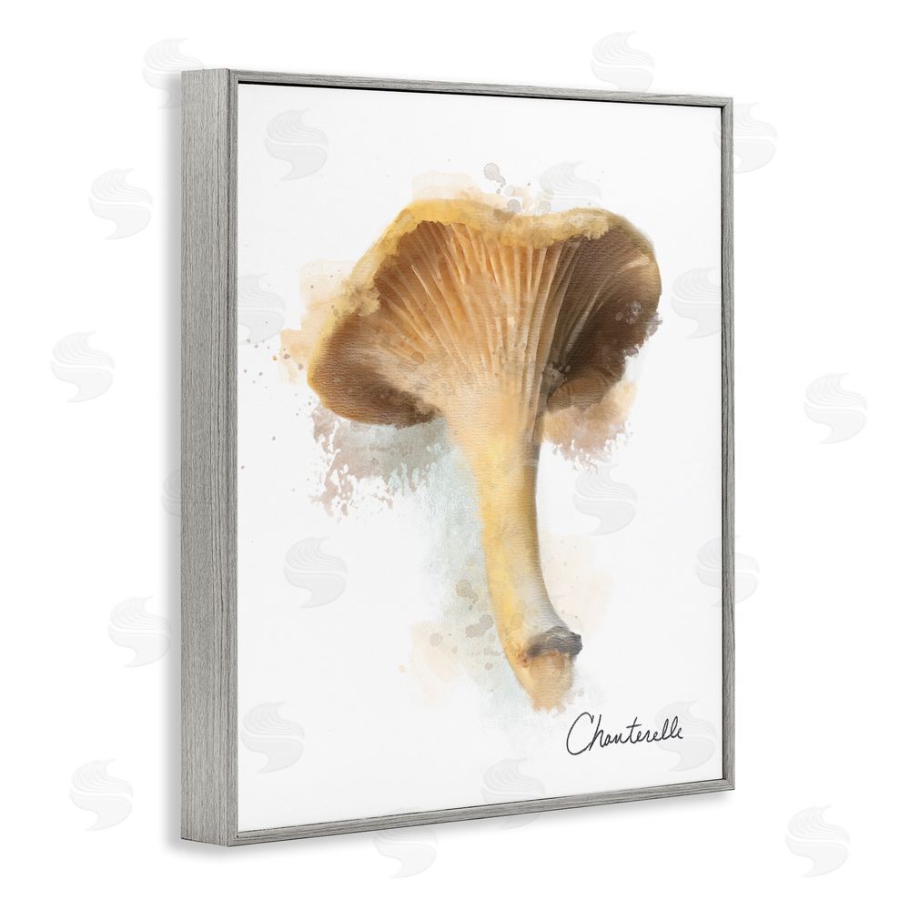 Matthew Piotrowicz Abstract Chanterelle Mushroom Gray Framed Giclee Wall Art Print