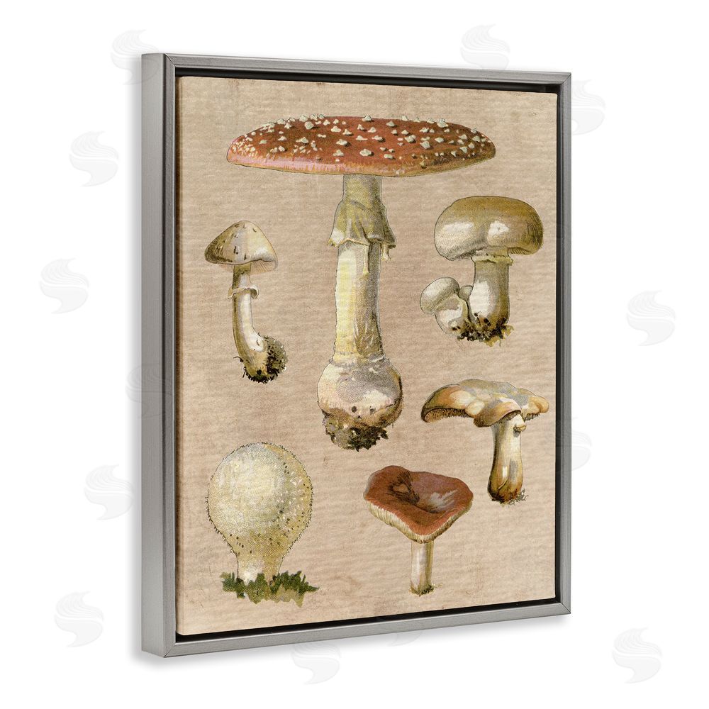 Stupell Studio Vintage Neutral Mushrooms Grey Floating Frame Canvas Wall Art Print