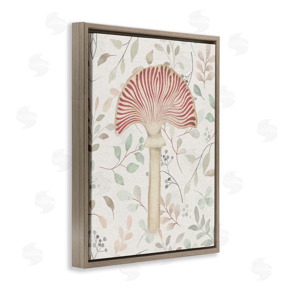 Stupell Studio Soft Botanicals & Mushroom Brown Floating Frame Canvas Wall Art Print