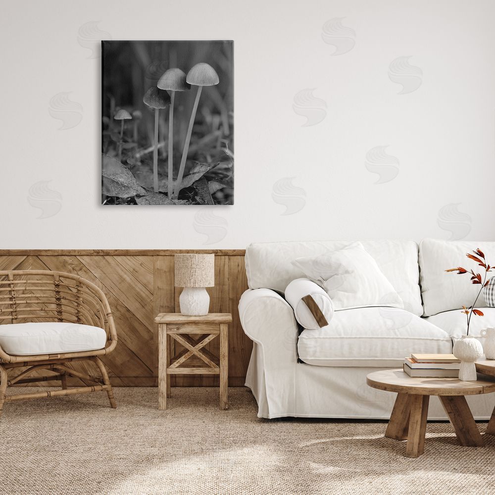 Stupell Studio Forest Mushroom Photography Canvas Wall Art Print in Room