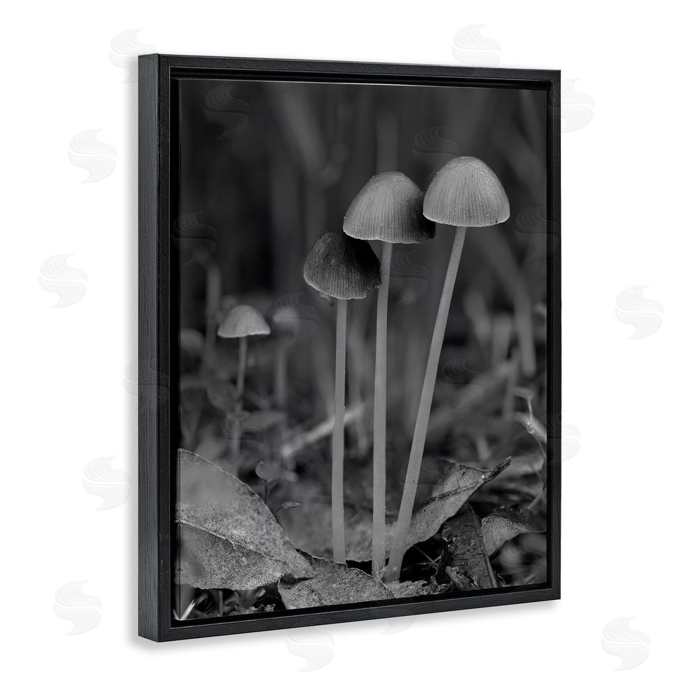 Stupell Studio Forest Mushroom Photography Black Floating Frame Canvas Wall Art Print