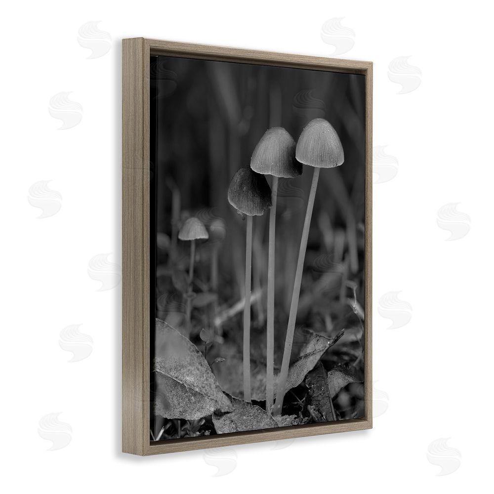 Stupell Studio Forest Mushroom Photography Brown Floating Frame Canvas Wall Art Print