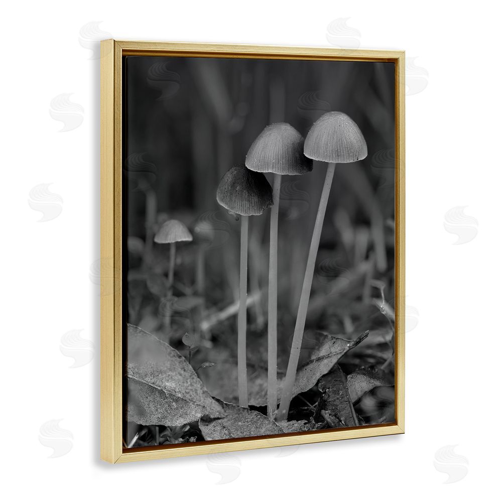 Stupell Studio Forest Mushroom Photography Gold Floating Frame Canvas Wall Art Print